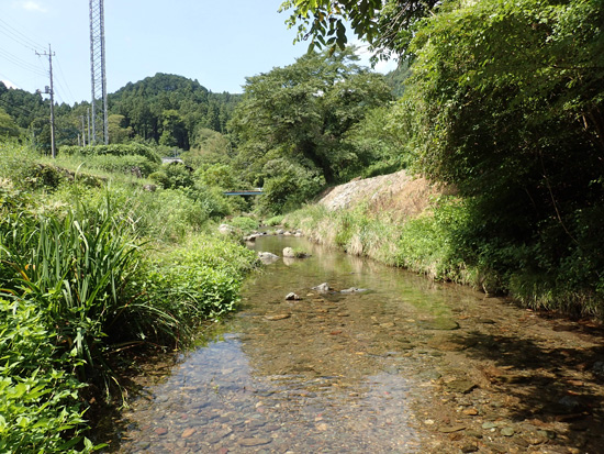 清流で遊ぶ_e0167571_18275796.jpg