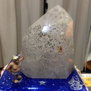 久々の癒しスタジアム_b0237279_87285.jpg
