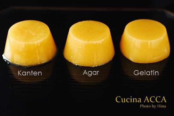 ゼラチン アガー 寒天のちがいって Cucina Acca クチーナ アッカ ゼラチン アガー 寒天のちがいって Cucina Acca クチーナ アッカ