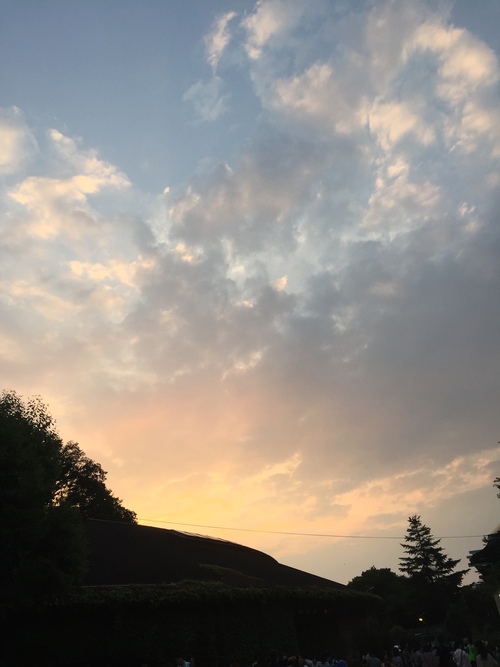 b0078288_054314.jpg