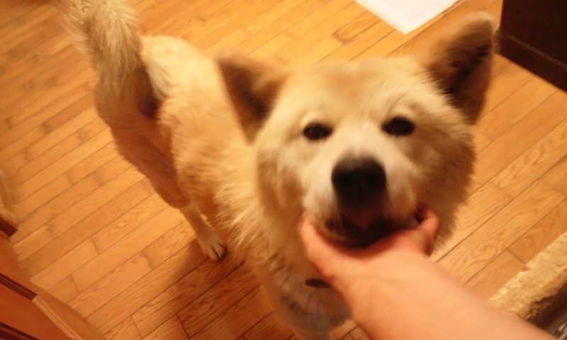 f0242002_21282231.jpg