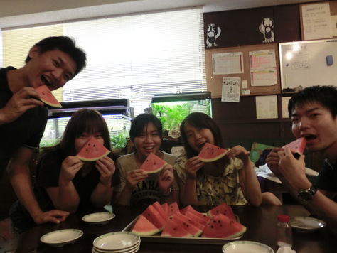 夏のうれしい贈り物!_a0080406_8581262.jpg