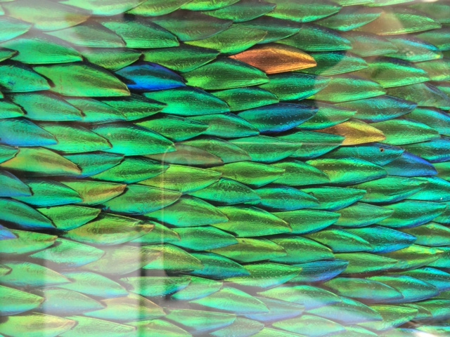 c0168308_1036556.jpg