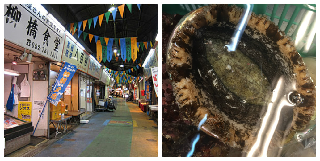 8月8日(土)寺尾紗穂トーク&ライブレポート_d0116009_1110057.jpg