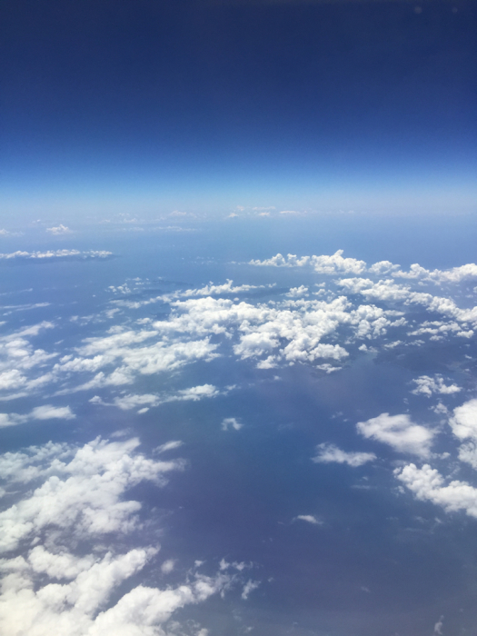 沖縄トリップ_a0071514_21052808.jpg