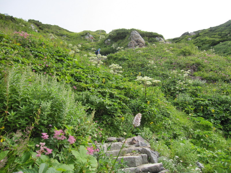 d0103314_23184530.jpg
