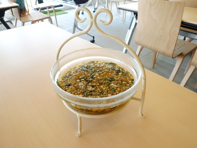 e0336214_1303120.jpg
