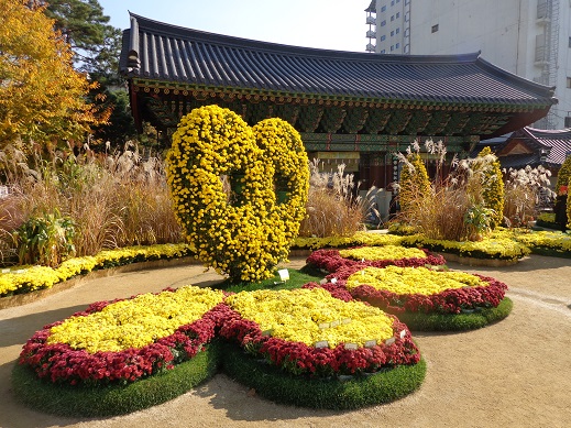 曹渓寺で菊祭り_a0279116_151471.jpg