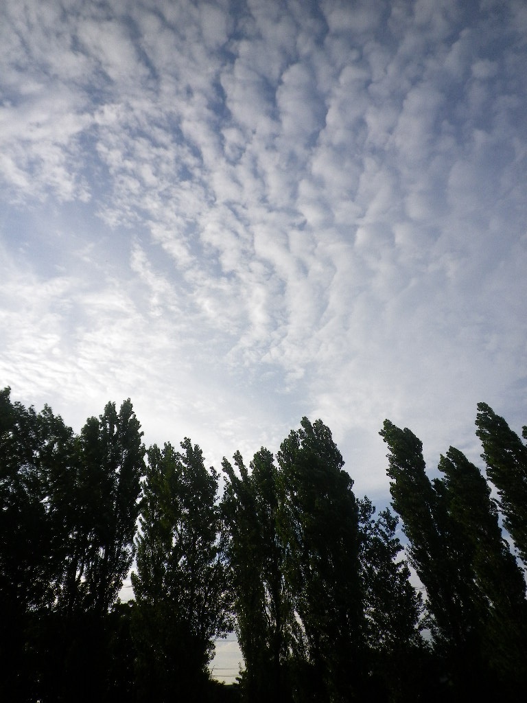 e0052716_10393466.jpg