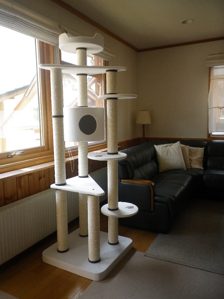 e0052716_1042374.jpg