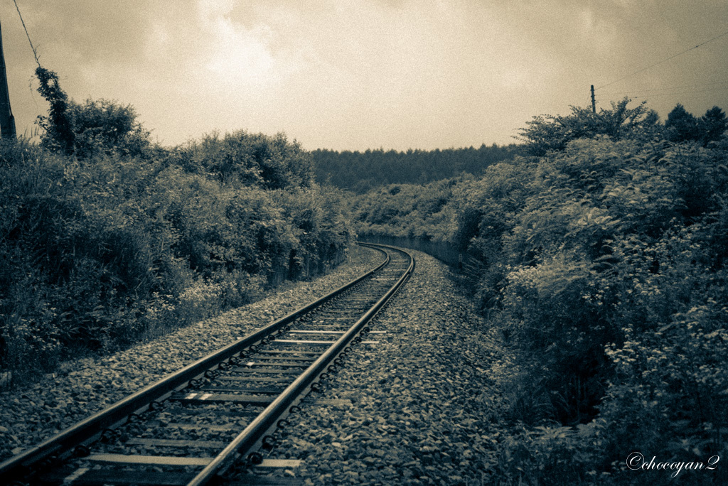 d0161322_22111664.jpg