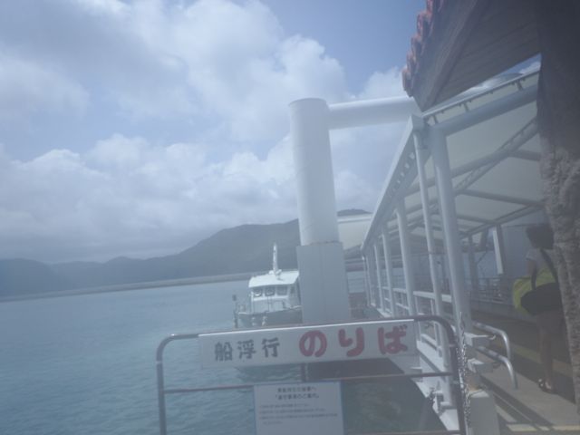 a0254130_1011817.jpg