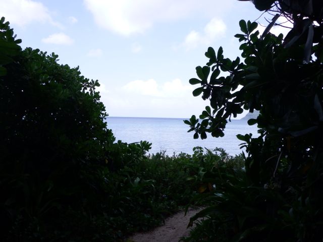 a0254130_10154121.jpg