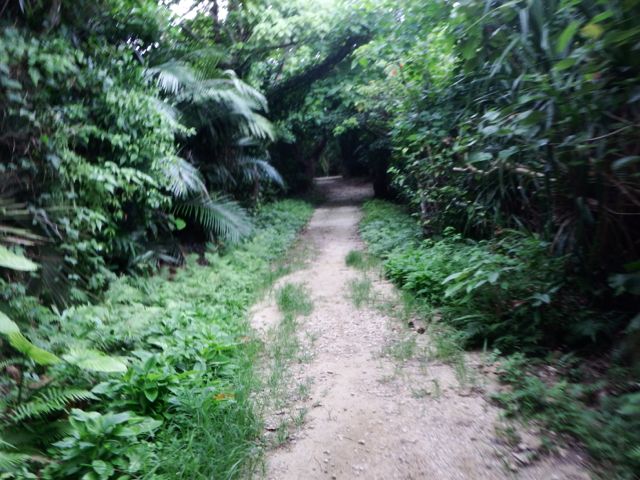 a0254130_10165774.jpg