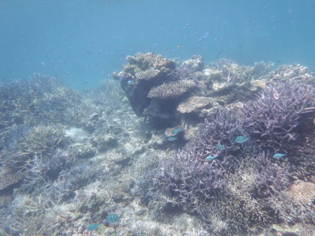 a0254130_10181927.jpg