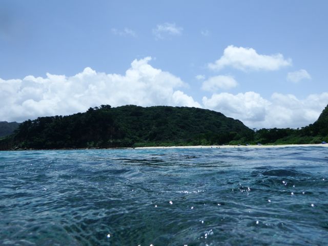 a0254130_1018569.jpg