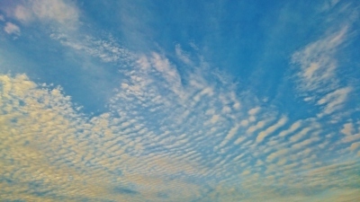 今日のご褒美...うろこ雲の空_a0230831_20265627.jpg