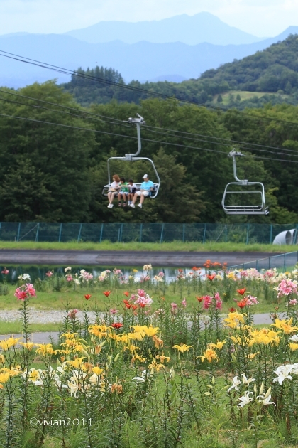塩原 ハンターマウンテンゆりパーク ~写真クラブの撮影会~_e0227942_23071161.jpg