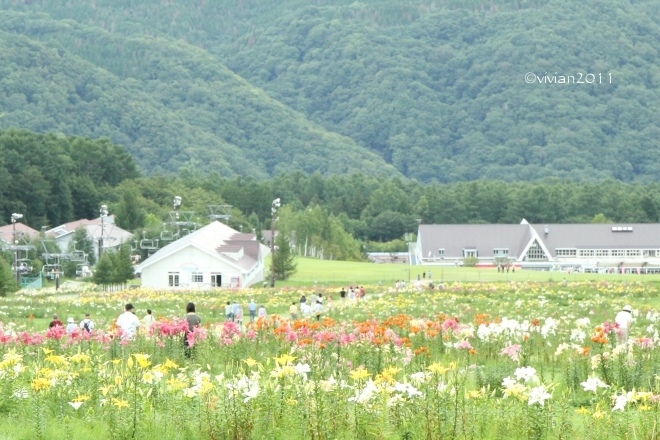 塩原 ハンターマウンテンゆりパーク ~写真クラブの撮影会~_e0227942_23282798.jpg