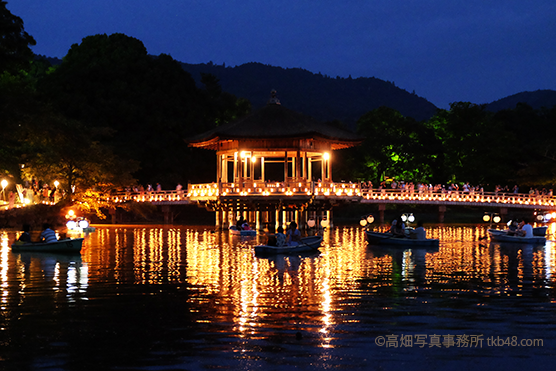 燈花会 浮見堂  The TOUKAE in the Nara park._e0245846_2023868.png