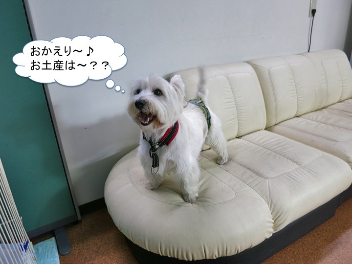 ちょっと山形へ夏旅行。_c0260460_14231130.jpg