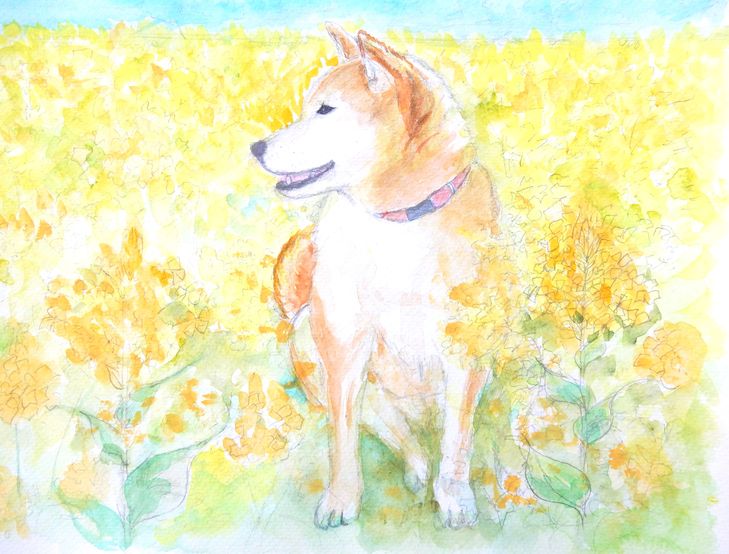 ’15,8,11(火)水彩画の日なり!_f0060461_1647876.jpg