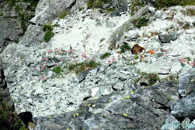 d0110562_11292304.jpg