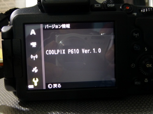 Nikon Coolpix P610　（初日）　＜　光学60倍ズーム_c0357964_1112480.jpg