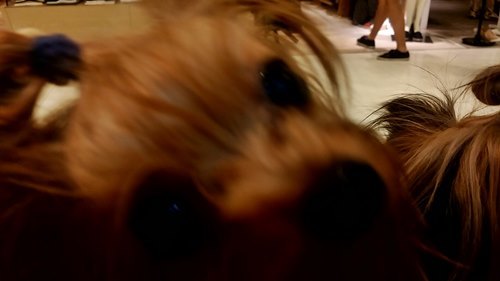 e0248268_17224809.jpg