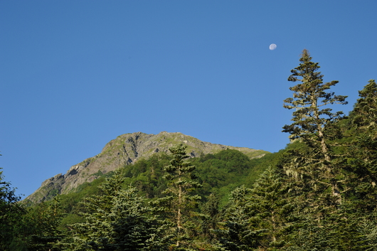 f0193680_20144695.jpg