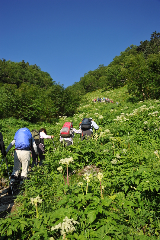 ナチュラリストＫｏＢ＠北岳を制す！　第二部_f0193680_20154388.jpg