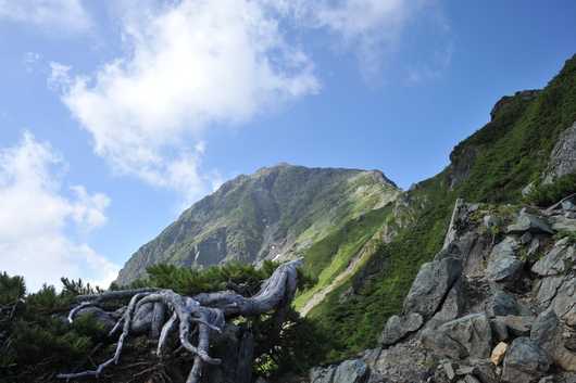 ナチュラリストＫｏＢ＠北岳を制す！　第二部_f0193680_20205920.jpg