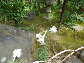 2015年8月11日 まきが入っているんだけどね_b0098584_1731360.jpg