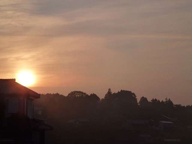いつもの朝_c0165589_141921.jpg