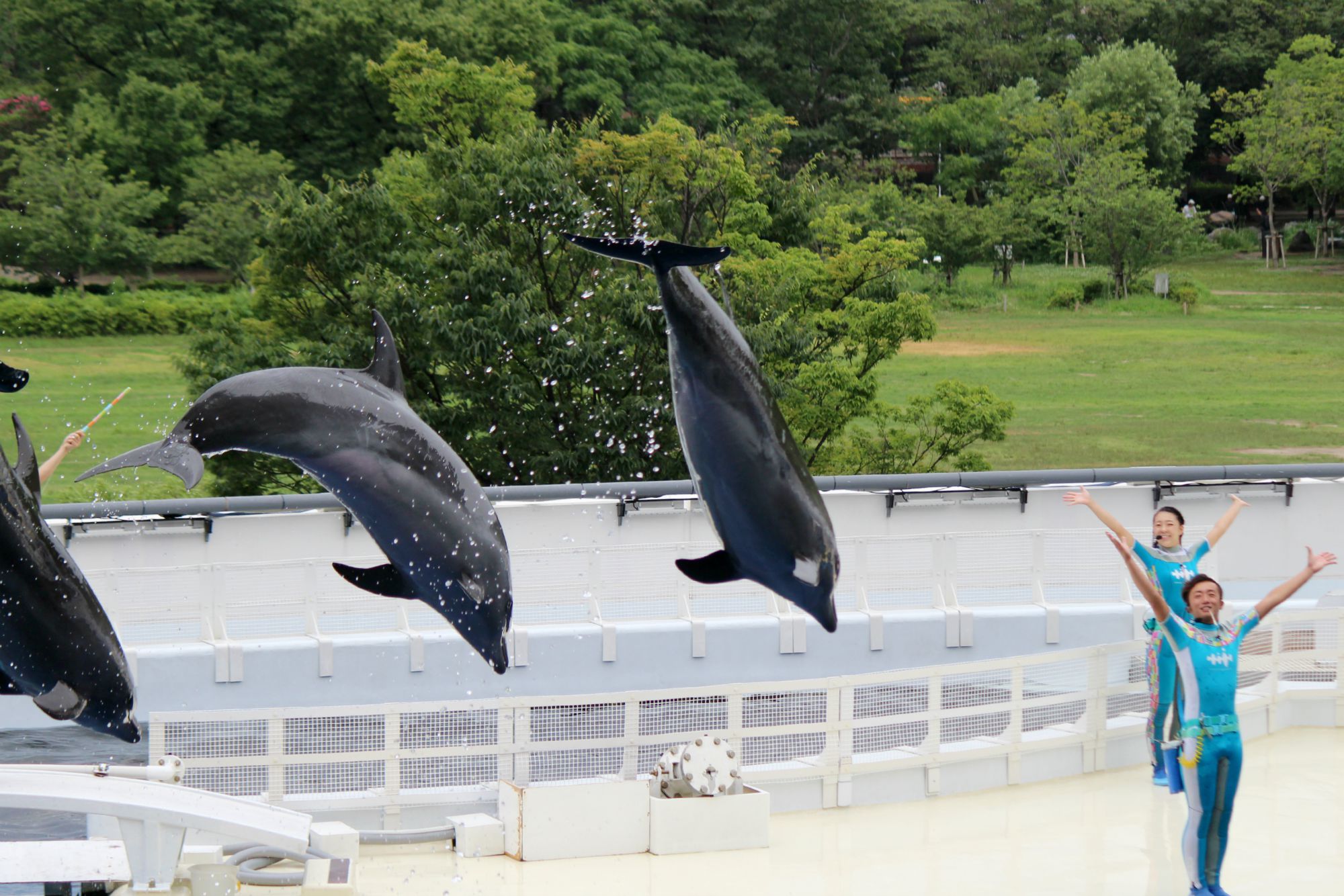 京都水族館③_a0127090_21134680.jpg