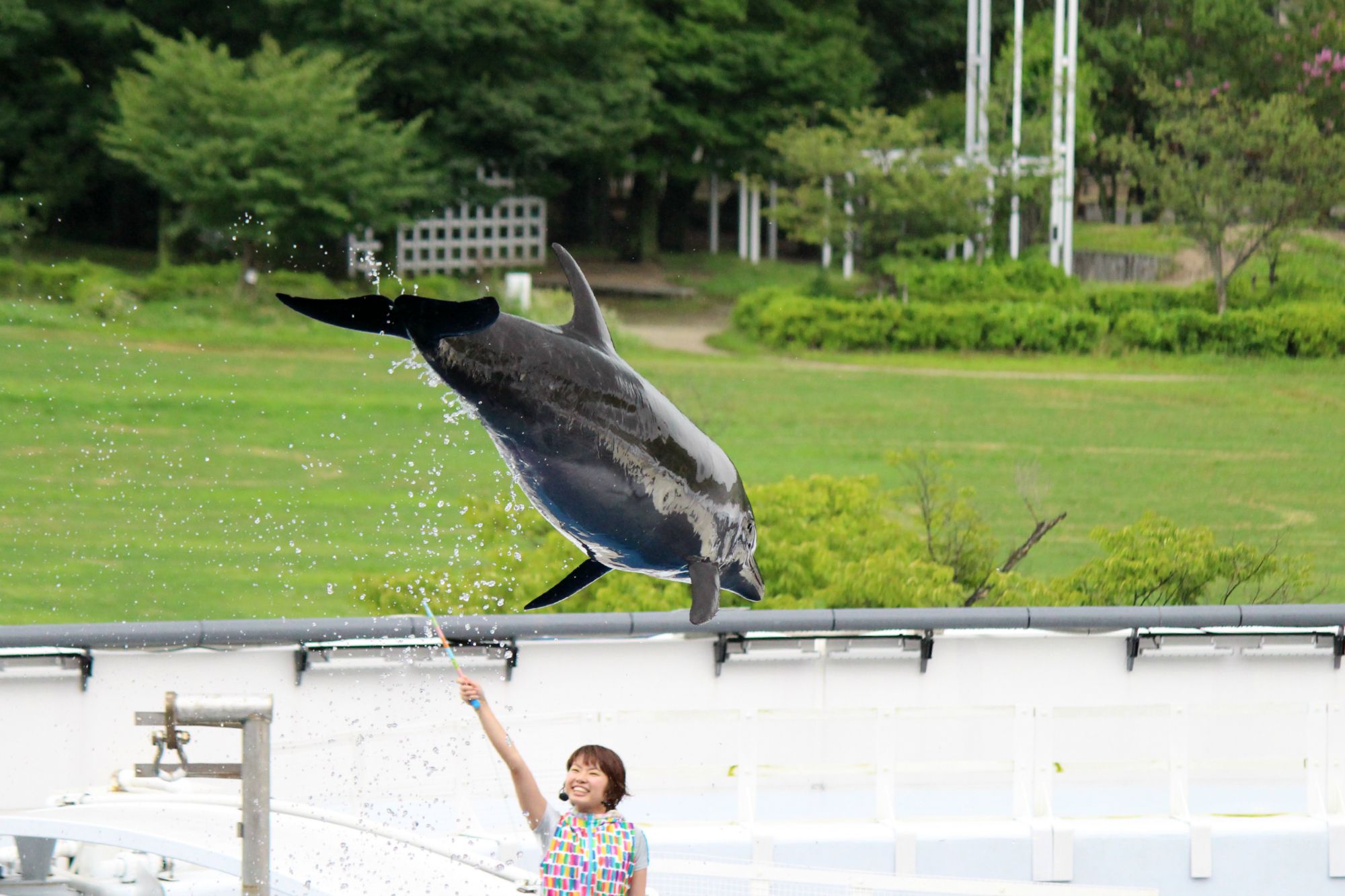 京都水族館③_a0127090_2116775.jpg