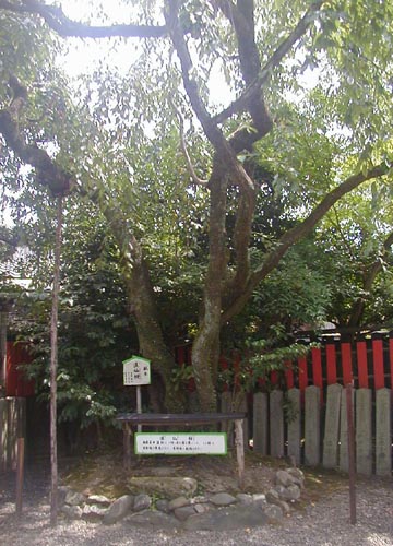 ●神社の造形―車折神社_d0053294_2192044.jpg