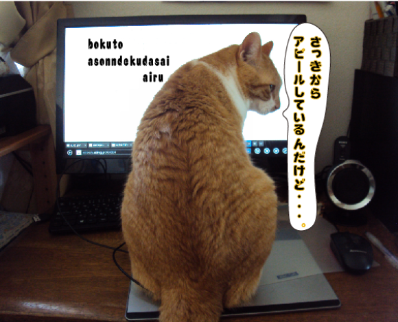 a0333195_10061679.png