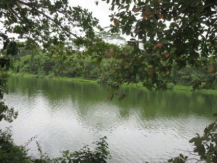 c0212604_6135124.jpg