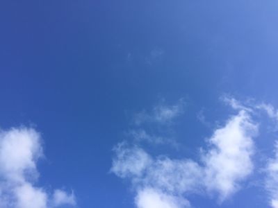 a0079306_18273360.jpg
