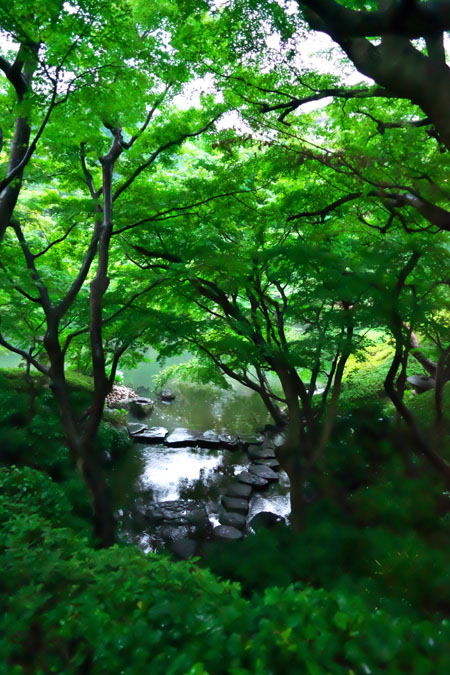 a0263109_12381660.jpg