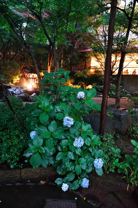 a0263109_12383055.jpg