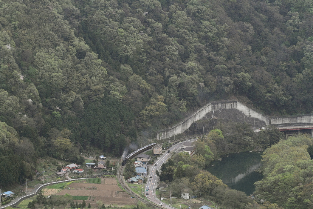 玉淀の新緑 - 秩父鉄道 - _b0190710_23221245.jpg