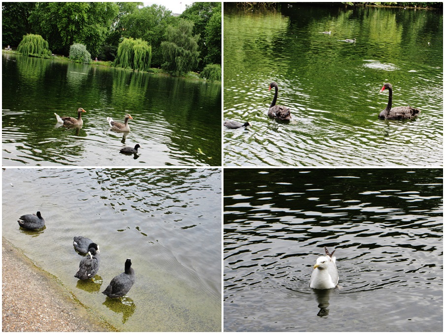 ロンドンの公園めぐり①_d0179410_17482093.jpg