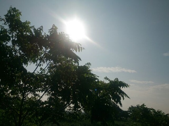 c0315313_22065601.jpg