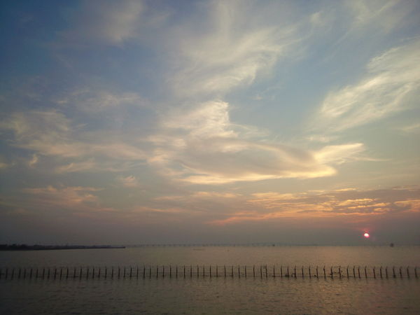 d0194120_1055303.jpg