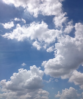 c0109726_1251127.jpg