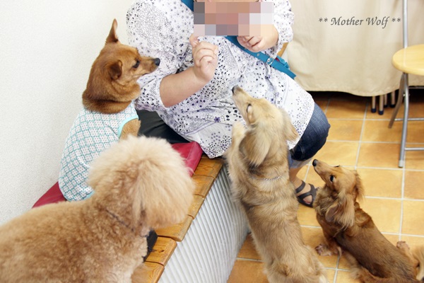 オープンハウス♪ ~2015年夏会~_e0191026_11571942.jpg
