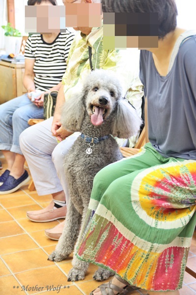 オープンハウス♪ ~2015年夏会~_e0191026_1252311.jpg