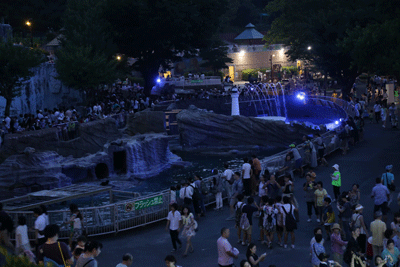 東山動植物園 ナイトzoo 名古屋のお菓子教室 Ma Favorite 東山動植物園 ナイトzoo 名古屋のお菓子教室 Ma Favorite
